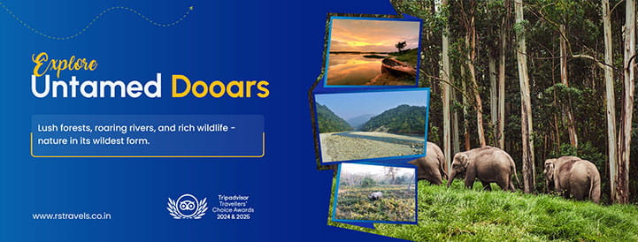 Dooars Tours & Travel - RS Travels