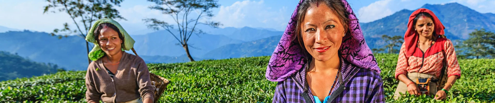 We arrange best places to stay in Bhutan for you