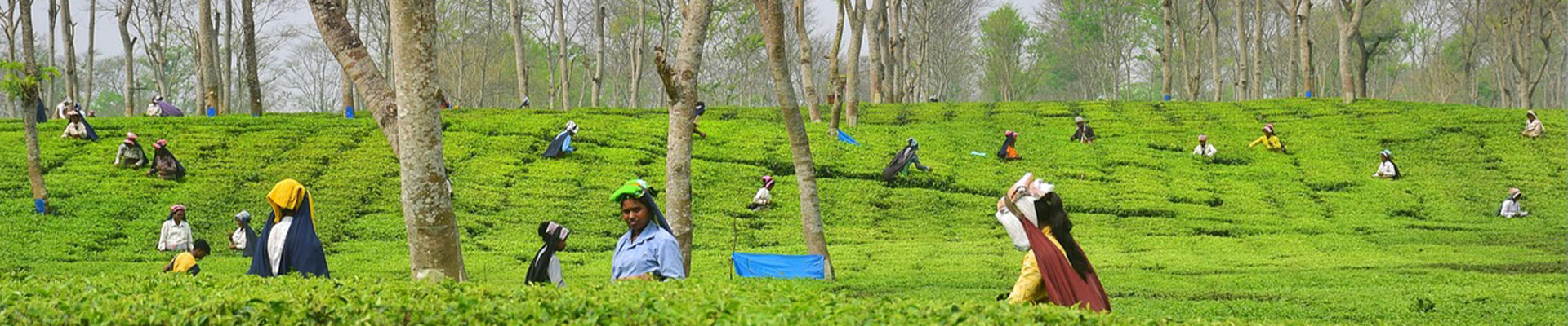 We arrange best places to stay in Bhutan for you