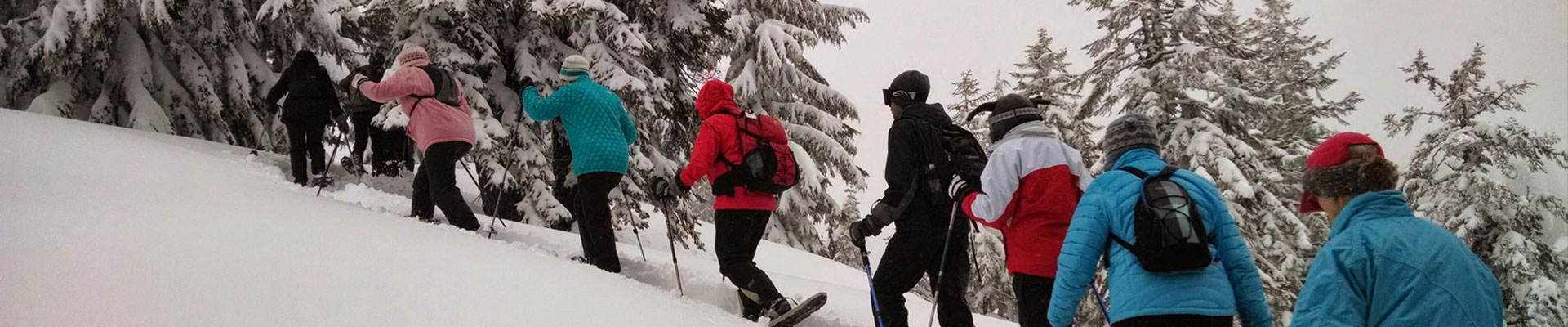 Travel with Best Bhutan Tour Operators