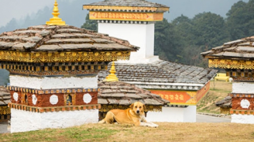BHUTAN HONEYMOON PACKAGE
