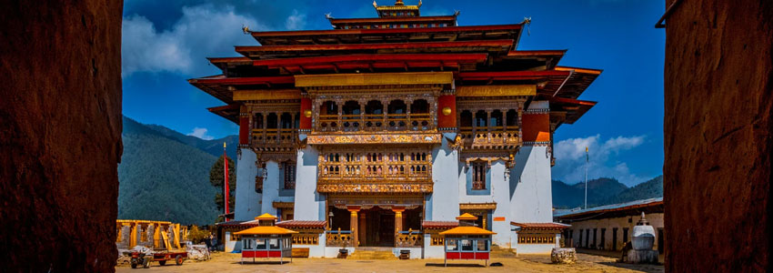 BLACK-NECKED CRANE FESTIVAL