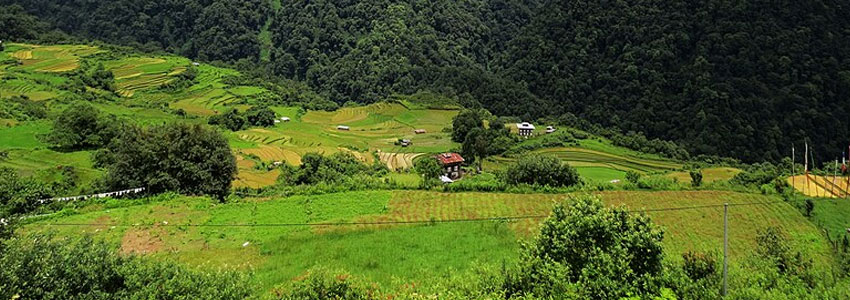 Jigme Dorji National Park