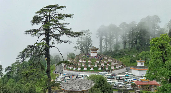 Royal Botanical Park, Lampelri: