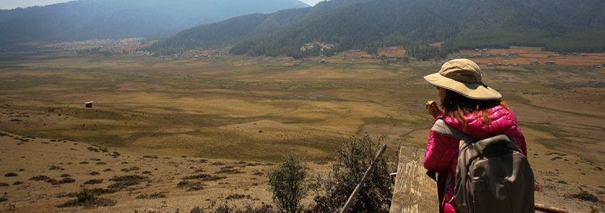 Must-Visit Destination