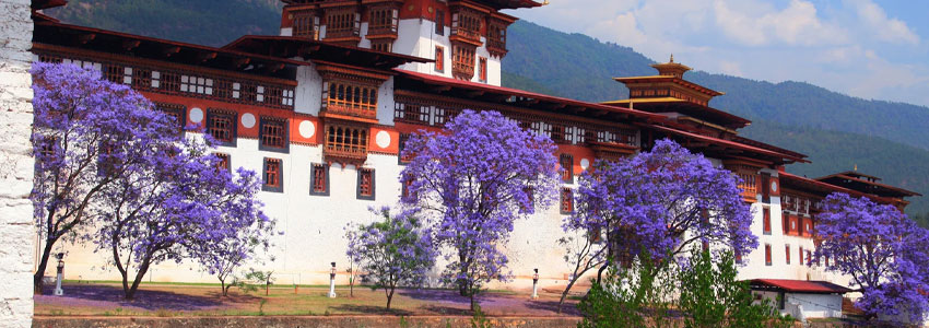 Punakha Dzong