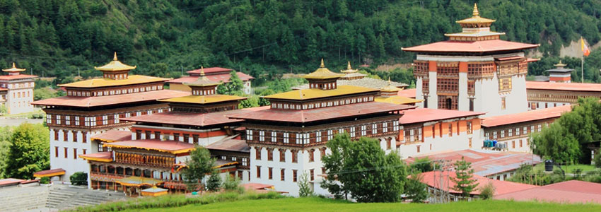 RHODODENDRON FESTIVAL